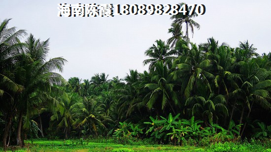 常德房子还能增纸吗？