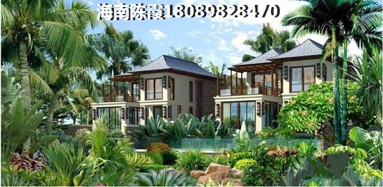 邓州市免费湿地公园有哪些景点