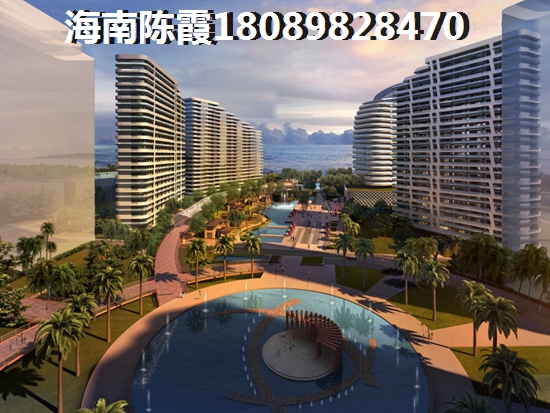 肆拾玖坊53度酱香宗师酒