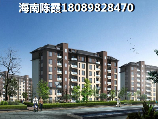 我从未对你失望过什么歌