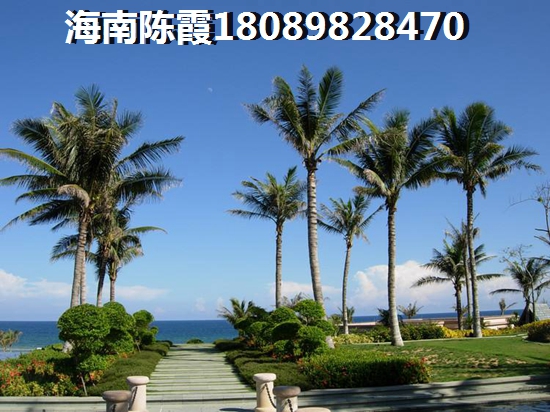 宜宾县免费湿地公园有哪些景点