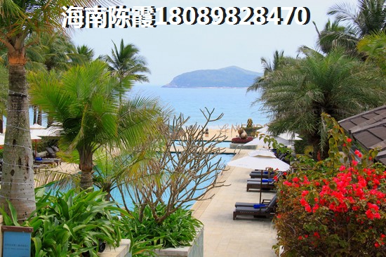 泰顺县旅游攻略