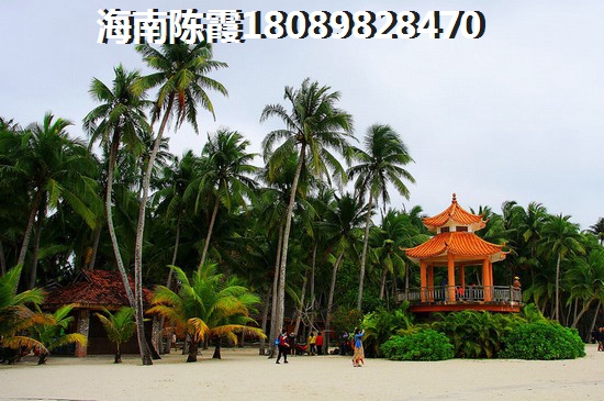 炒牛肚的做法家常做法大全