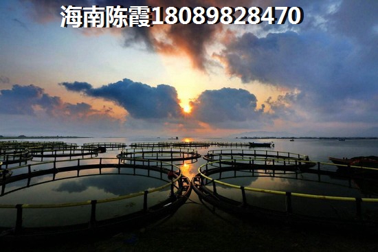 陈小宝一家三口照片