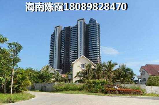 为什么元歌不能出复活甲